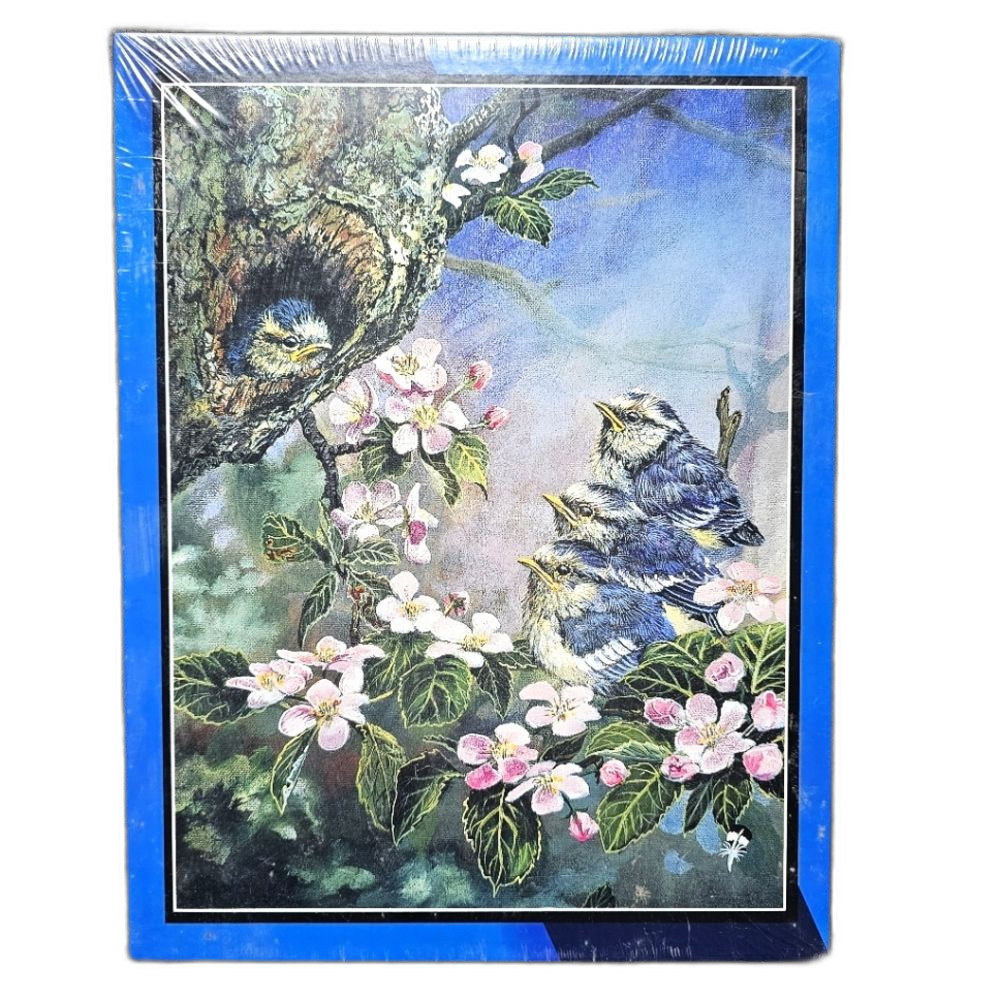 Bits & Pieces 550ct Puzzle “Last One Out” Birds David Feather Art 18"x24" Sealed